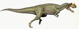 Artists reconstruction of Ceratosaurus.  By DiBgd